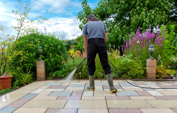 Best Driveway Pressure Washing  in Longwood, FL